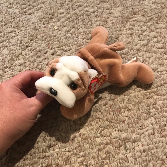 wrinkles the dog beanie baby